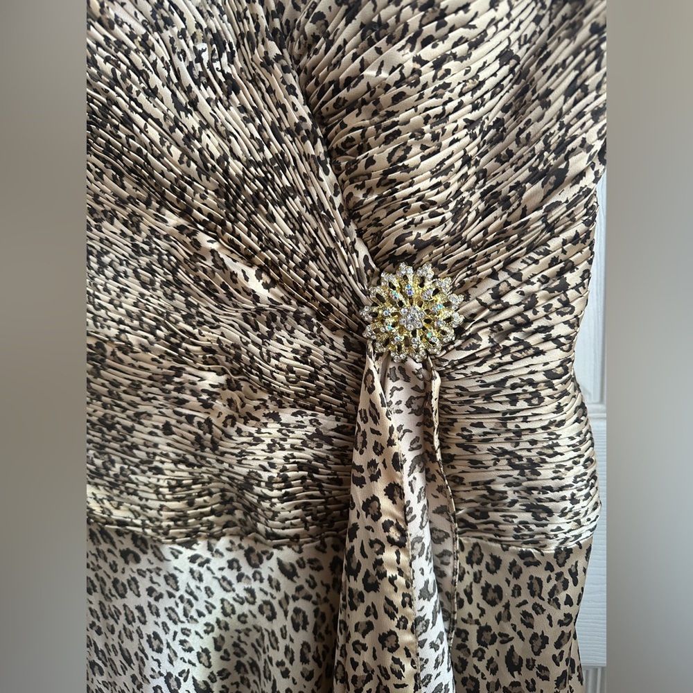 Leopard Print Gown With Matching Shawl - image 8